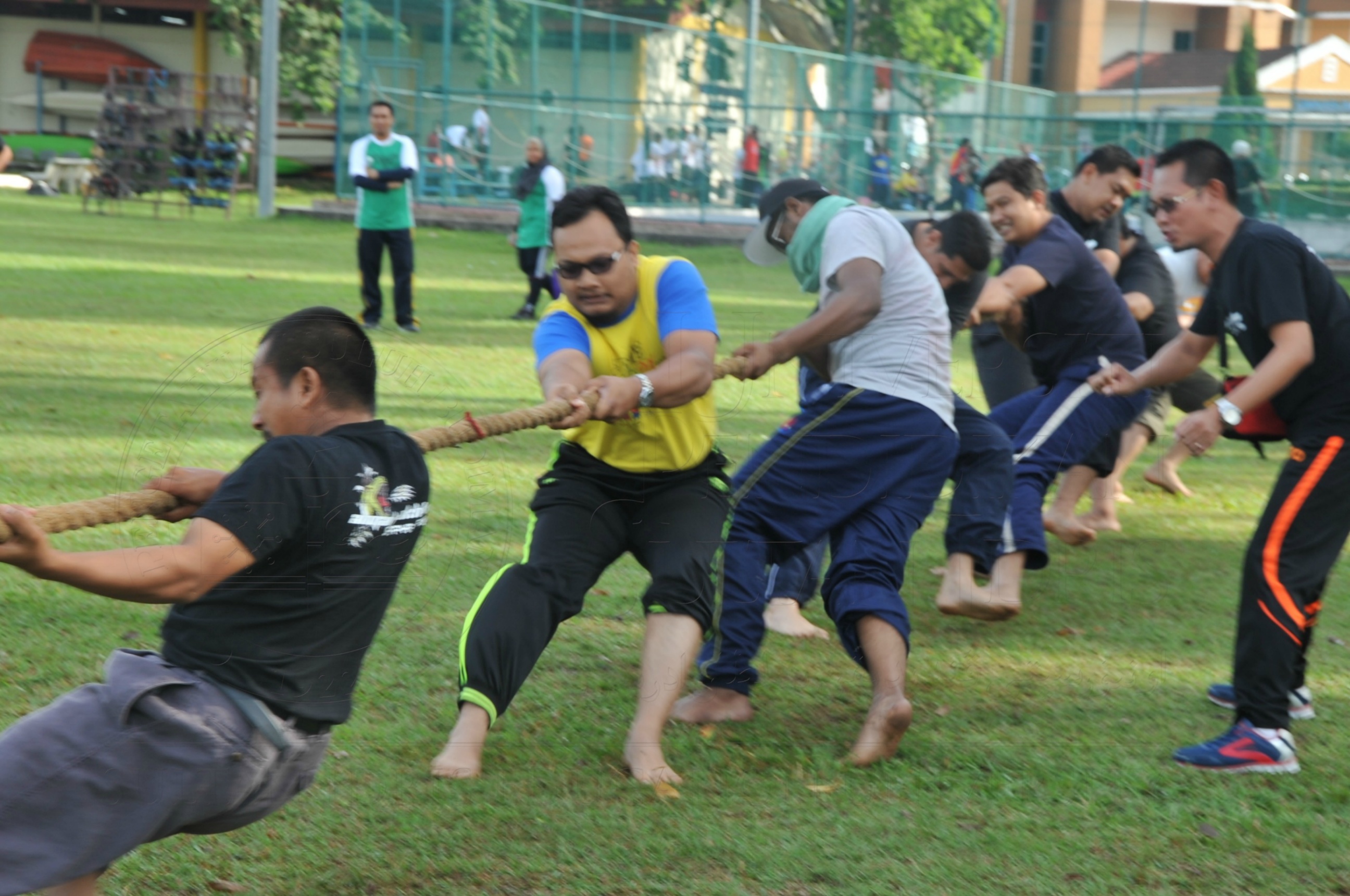 PRO 15 53 KIESTA HAS 5472